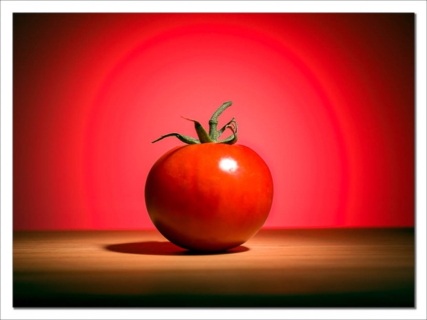 Lonely tomato